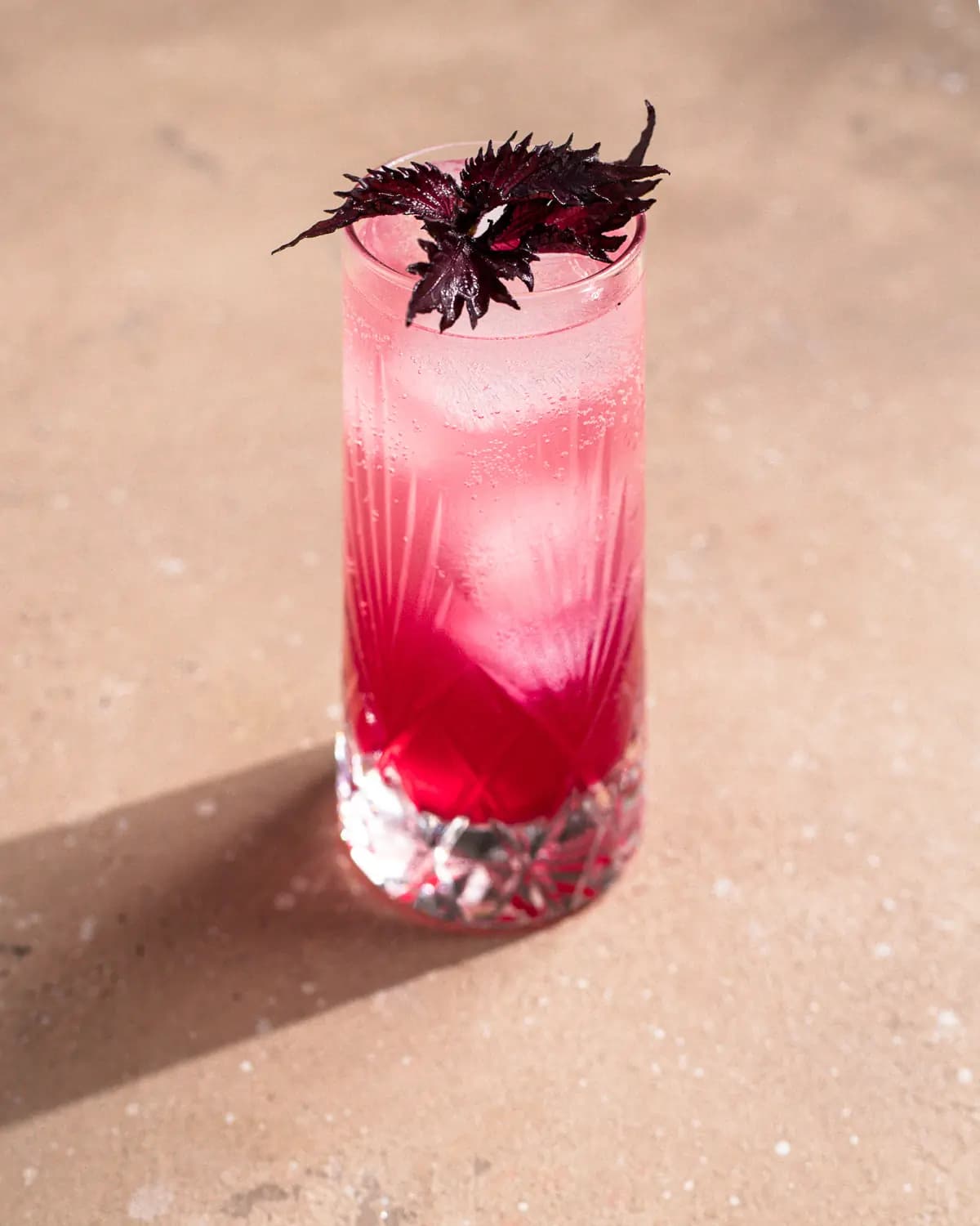 Food photography di Chiara Gavioli, food photographer a Mantova 58